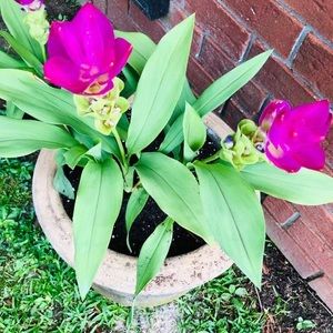 Meet your Posher, Liz